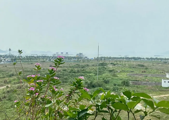 Milash Boutique Hotel Hạ Long
